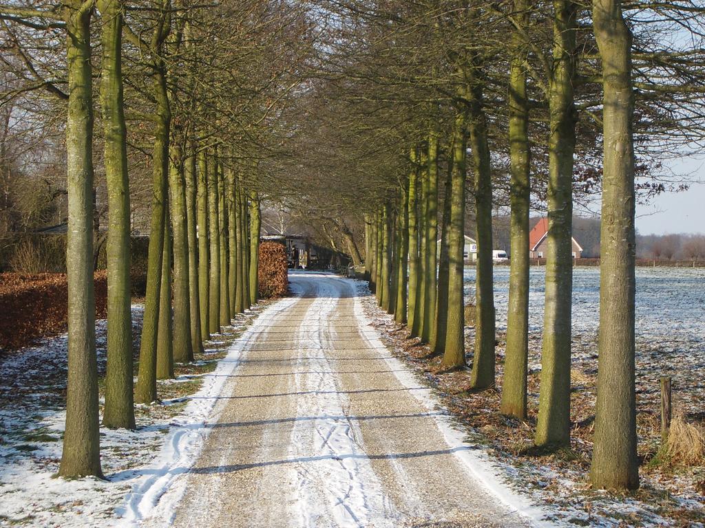 B&B Atelier Thierry Voorst Gem Voorst Zewnętrze zdjęcie